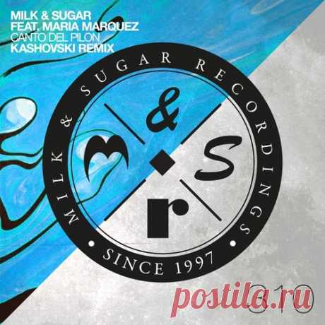 Milk &amp; Sugar &amp; Maria Marquez – Canto Del Pilon (Kashovski Remix) [MSR310] Sharing-DB.club