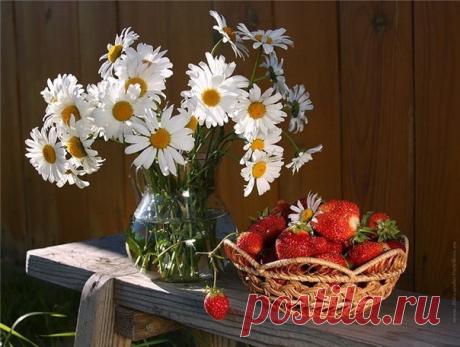 Красота и смак))