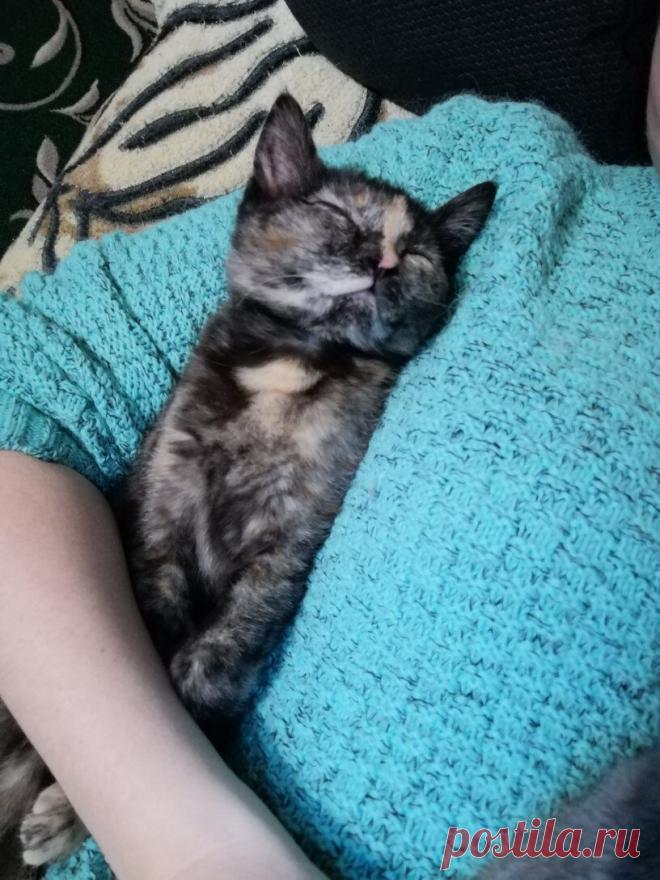 Сладких снов