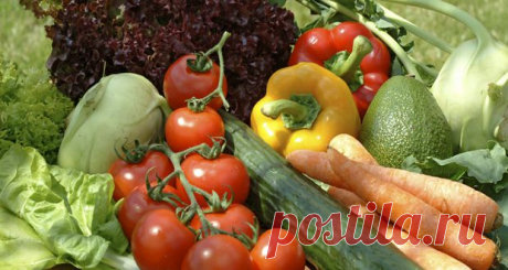 Три мифа об отрицательной калорийности и список самых низкокалорийных продуктов