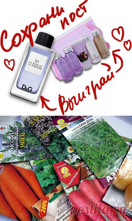 10 распространенных ошибок при выборе семян. Сохраните любой пост с сайта 7dach.ru в Постиле и выиграйте призы от интернет-магазина Клуб Красоты. Чем больше постов - тем выше шансы. Розыгрыш состоится в понедельник, 30 января. В акции участвуют все посты, которые содержат этот текст или фото призов!