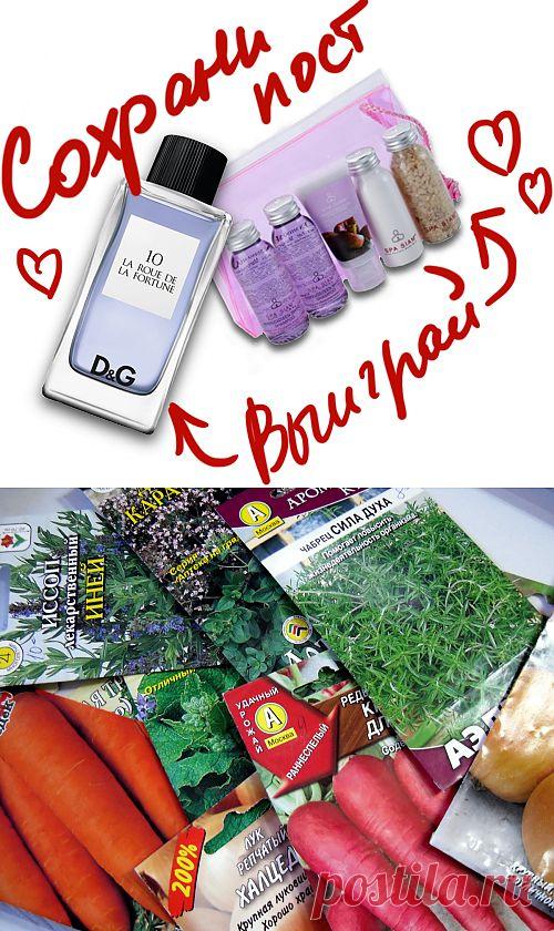 10 распространенных ошибок при выборе семян. Сохраните любой пост с сайта 7dach.ru в Постиле и выиграйте призы от интернет-магазина Клуб Красоты. Чем больше постов - тем выше шансы. Розыгрыш состоится в понедельник, 30 января. В акции участвуют все посты, которые содержат этот текст или фото призов!