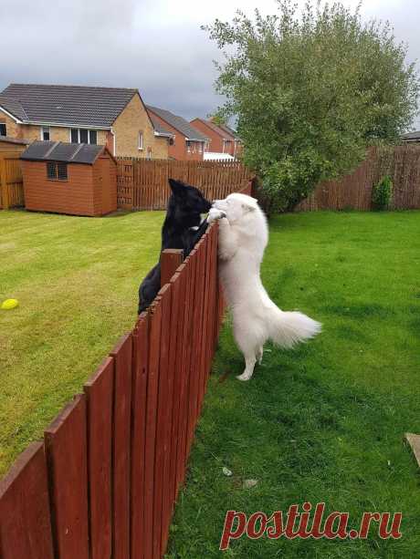 akiwiwa (@akiwiwa) / Twitter