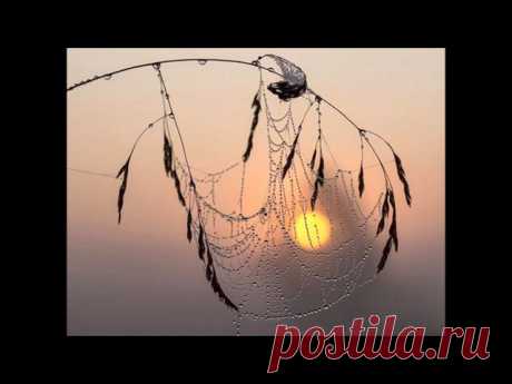 Юрий Пахомов