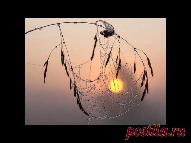 Юрий Пахомов