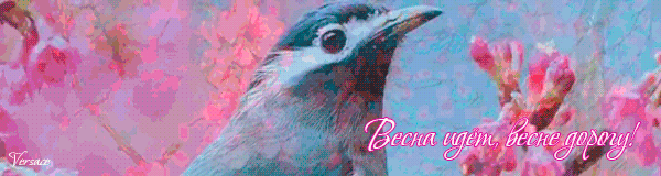 Анимация "Весна идёт, весне дорогу!". Автор: ╰დ╮✿ Versace✿╭დ╯