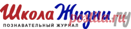 Как выглядит символика нацизма? | Культура, искусство, история