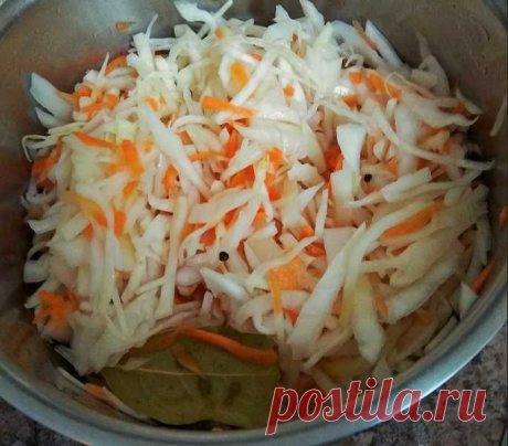 Салаты из капусты на зиму в банке: очень вкусные рецепты