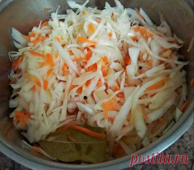 Салаты из капусты на зиму в банке: очень вкусные рецепты