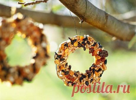 4 простые идеи кормушек своими руками | ПолонСил.ру - социальная сеть здоровья
Суровые зимы — настоящее испытание для пернатых. Сегодняшняя наша статья посвящена мастер-классам по изготовлению кормушек, которые помогут птицам пережить зимние холода и одновременно станут настоящим украшением вашего сада. Среди мастер-классов есть очень простые советы, так что можно смело приобщить к изготовлению кормушек детей.