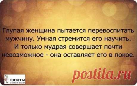 Александр: Нет такого плохого положения, которое не может стать еще хуже