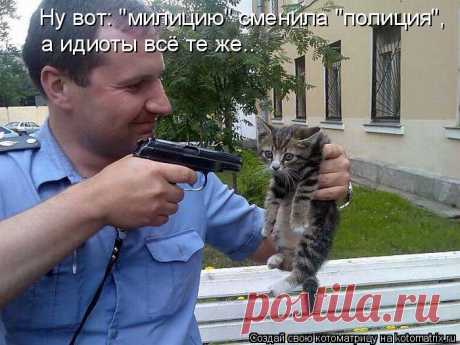 Котоматрица: Пользователь Светланка