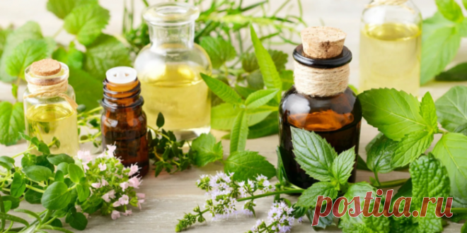 3 ЭФИРНЫХ МАСЛА ПРОТИВ СТАРЕНИЯ КОЖИ !