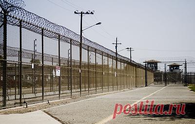 В США россиянку Насырову приговорили к 21 году тюрьмы за отравление женщины. По данным адвоката, после отбывания наказания Викторию Насырову могут депортировать