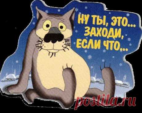 Новости