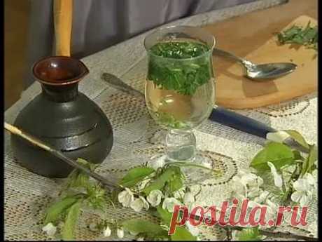 Наталя Земна - Кропива - "Ранок. Домашній лікар"