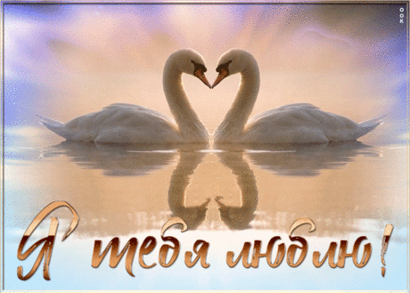 Открытка любимой жене