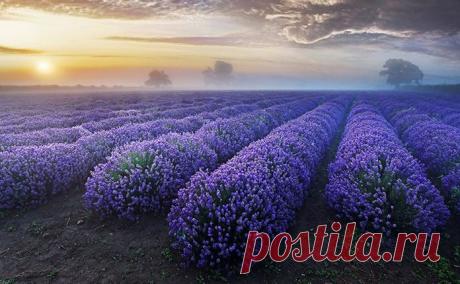 20 снимков невероятной природной красоты – Фитнес для мозга