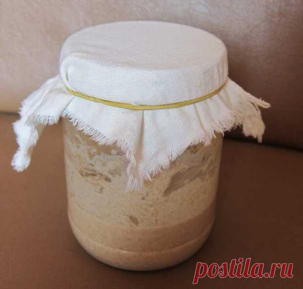 Рецепты заквасок (альтернатива покупным дрожжам) РЖАНАЯ ЗАКВАСКА