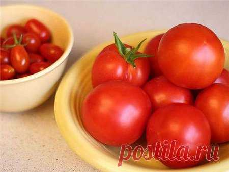 Быстро, вкусно, полезно, помидорно-сырно! - Кулинария - ГОРНИЦА - дайджест новостей, авторские блоги