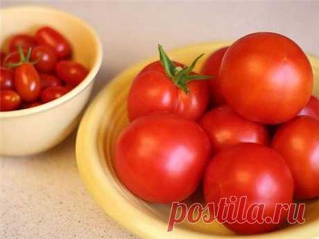 Быстро, вкусно, полезно, помидорно-сырно! - Кулинария - ГОРНИЦА - дайджест новостей, авторские блоги