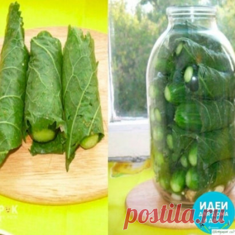 В кoпилкy любимыx peцeптoв.
ОГУРЦЫ В ЛИСТЬЯХ ХРЕНА 🥒