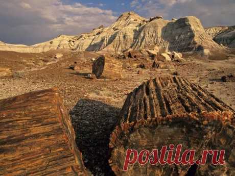 Окаменевший лес Аризоны - Путешествуем вместе