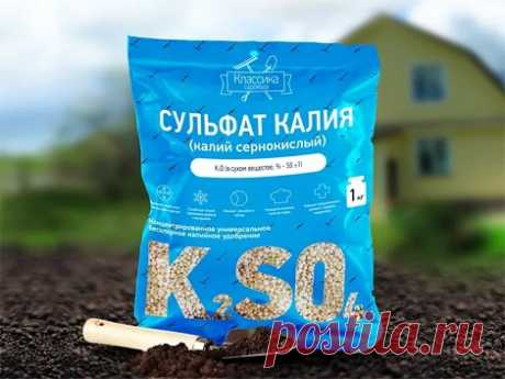Калийные удобрения для овощей и цветов: их значение и применение, дозировки и сроки внесения