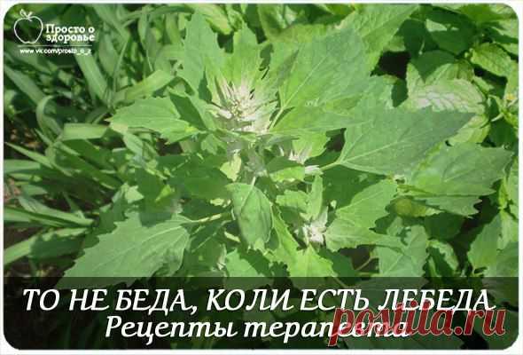 ТО НЕ БЕДА, КОЛИ ЕСТЬ ЛЕБЕДА