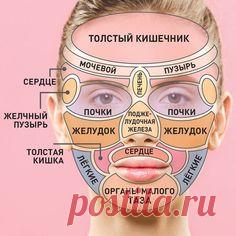 КАРТА ПРЫЩЕЙ НА ЛИЦЕ