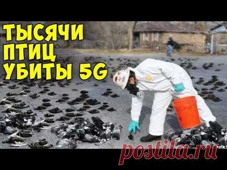 Вот Почему 5G Опасен