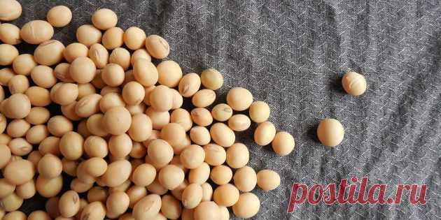 10 продуктов, в которых кальция больше, чем в твороге - Лайфхакер