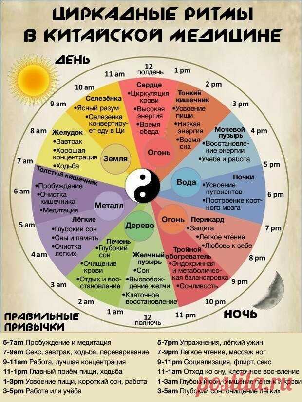 Строго по расписанию: почему китайцы едят только в 12 дня и спят на рабочем месте • НОВОСТИ В ФОТОГРАФИЯХ
