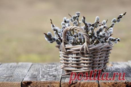 Сколько веток вербы должно быть в одном букете, и другие приметы, связанные с этим праздником