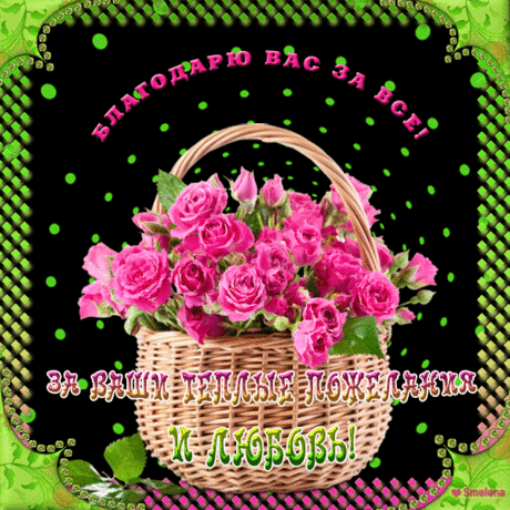 Благодарю вас за все!  За ваши теплые пожелания и любовь!