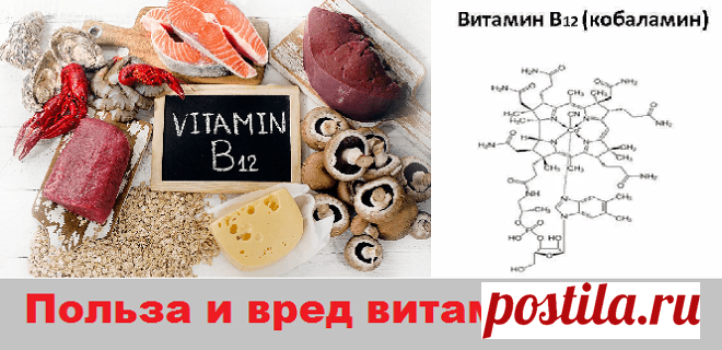 Польза и вред витамина В 12 | Советы целительницы