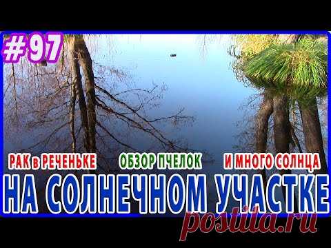 Рак в любимой реченьке. Обзор пчел и солнечного участка. Зимний художник в ДЕРЕВНЕ.