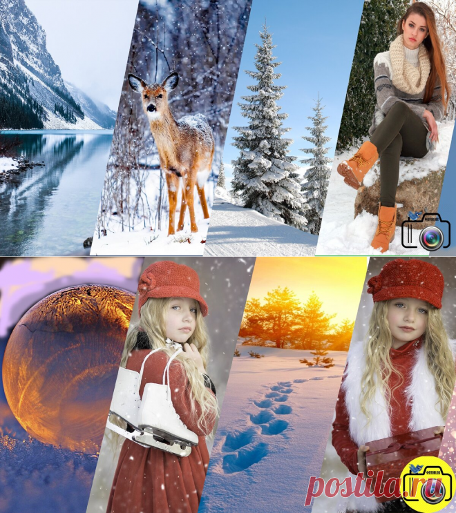 Как фотографировать зимой и не убить камеру. Советы профессионала. | ФОТОBLOG | Яндекс Дзен