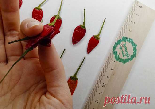 Сушеные плоские перцы чили для заливки смолой купить