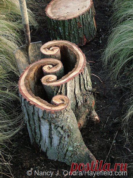 Найдено на сайте hayefield.com.