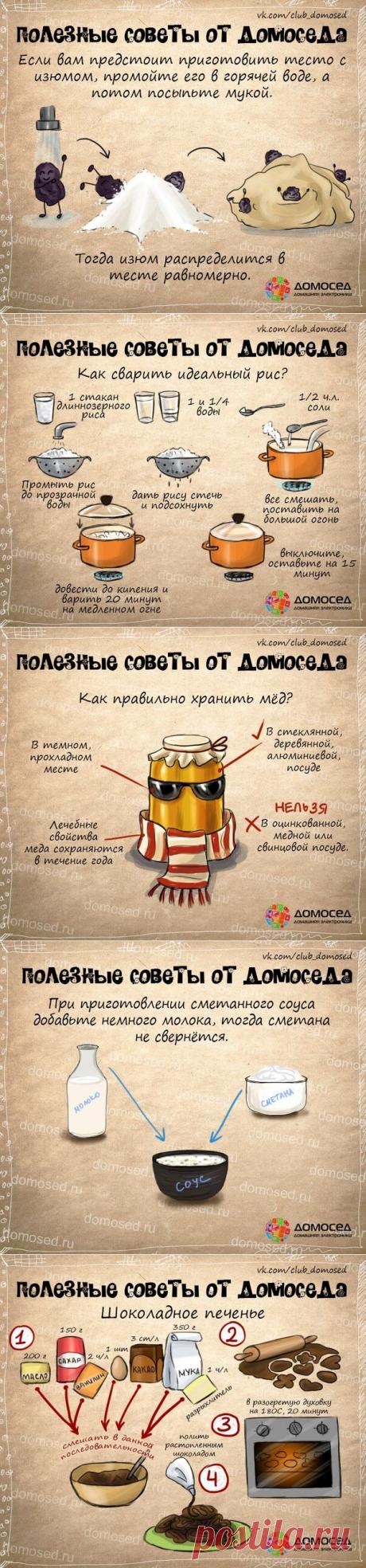 >Полезные советы от Домоседа - кулинария