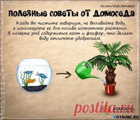 Советы от Домоседа - 1 - Советы для дома и хозяйства - Женский Мир