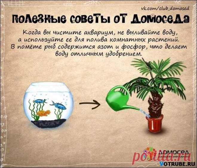 Советы от Домоседа - 1 - Советы для дома и хозяйства - Женский Мир