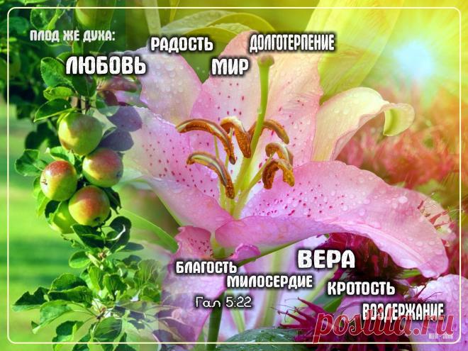 b-1176.jpg (1600×1200)