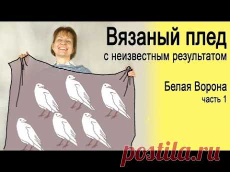 плед БЕЛАЯ ВОРОНА часть 1