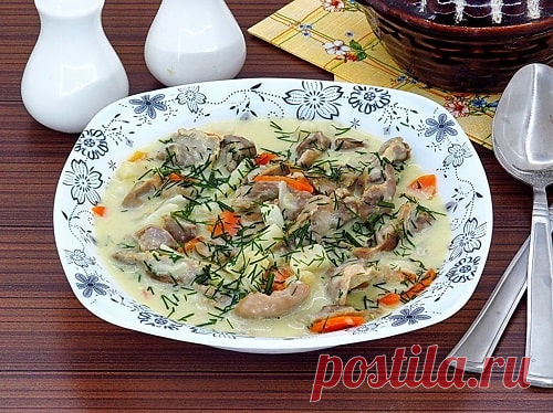 Куриные желудки в сметане – 10 вкусных рецептов с фото