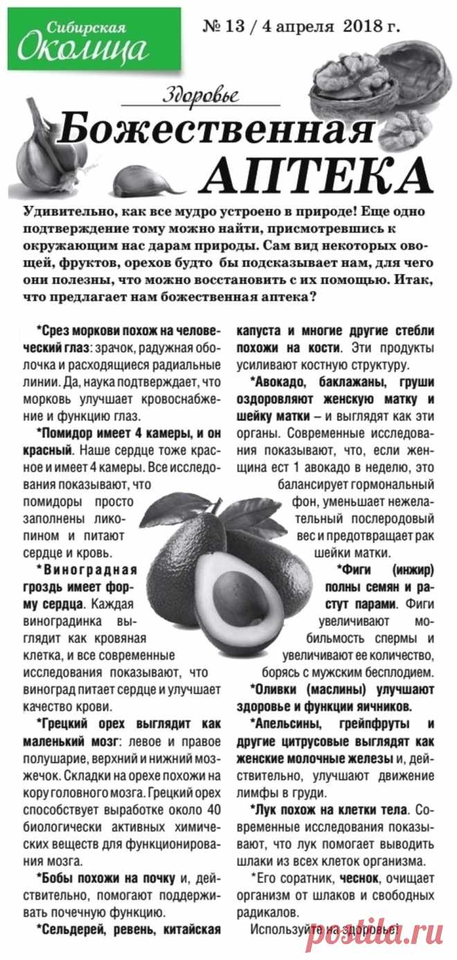 Божественная аптека