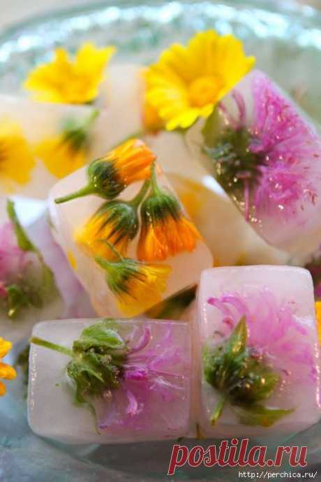 Для чего можно использовать формы для льда из вашей морозилки