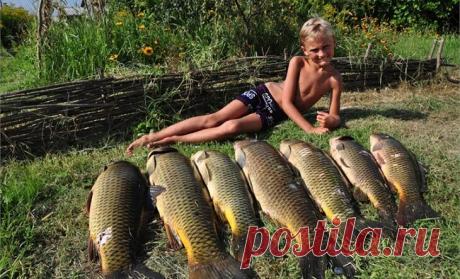 Таблица, необходимая рыболовам на май-июнь