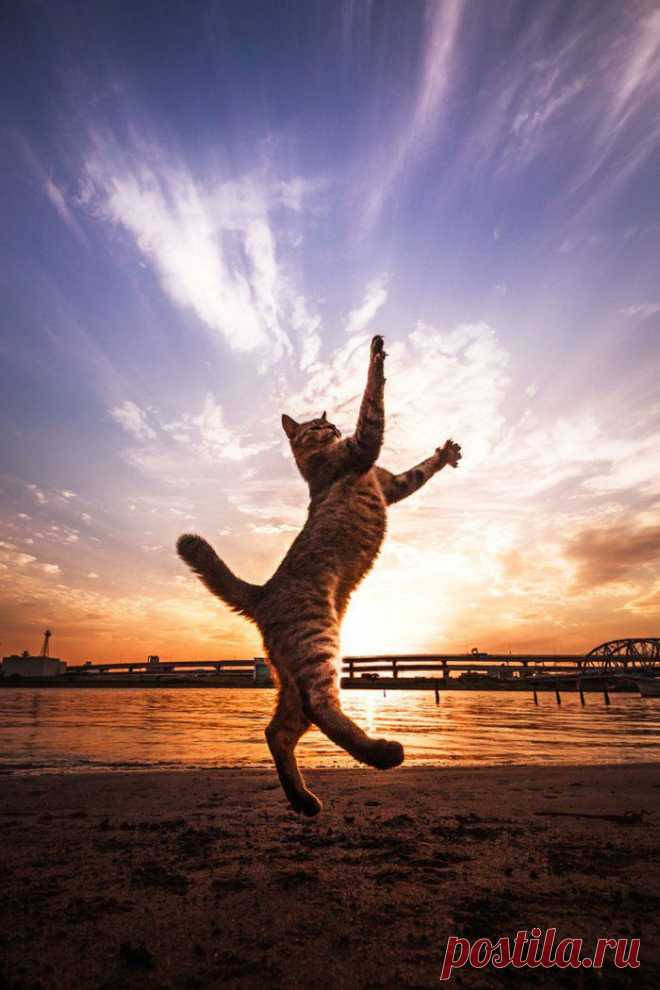 Окно в мир